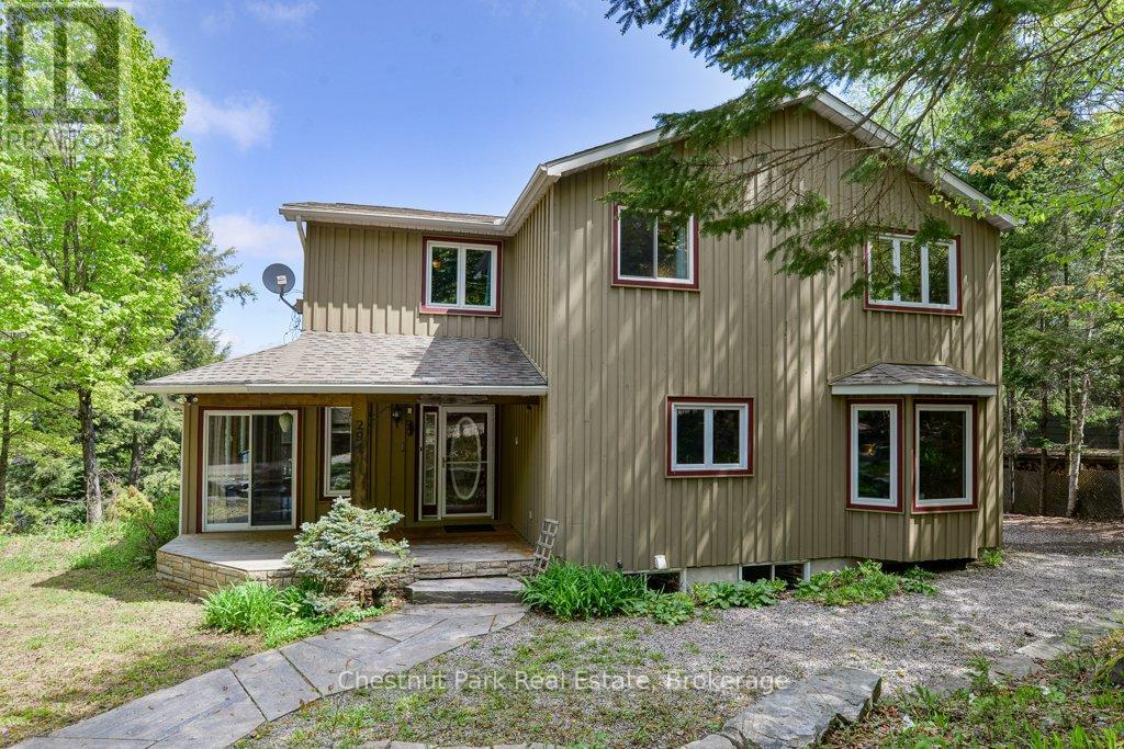 294 NORTH DRIVE - 4