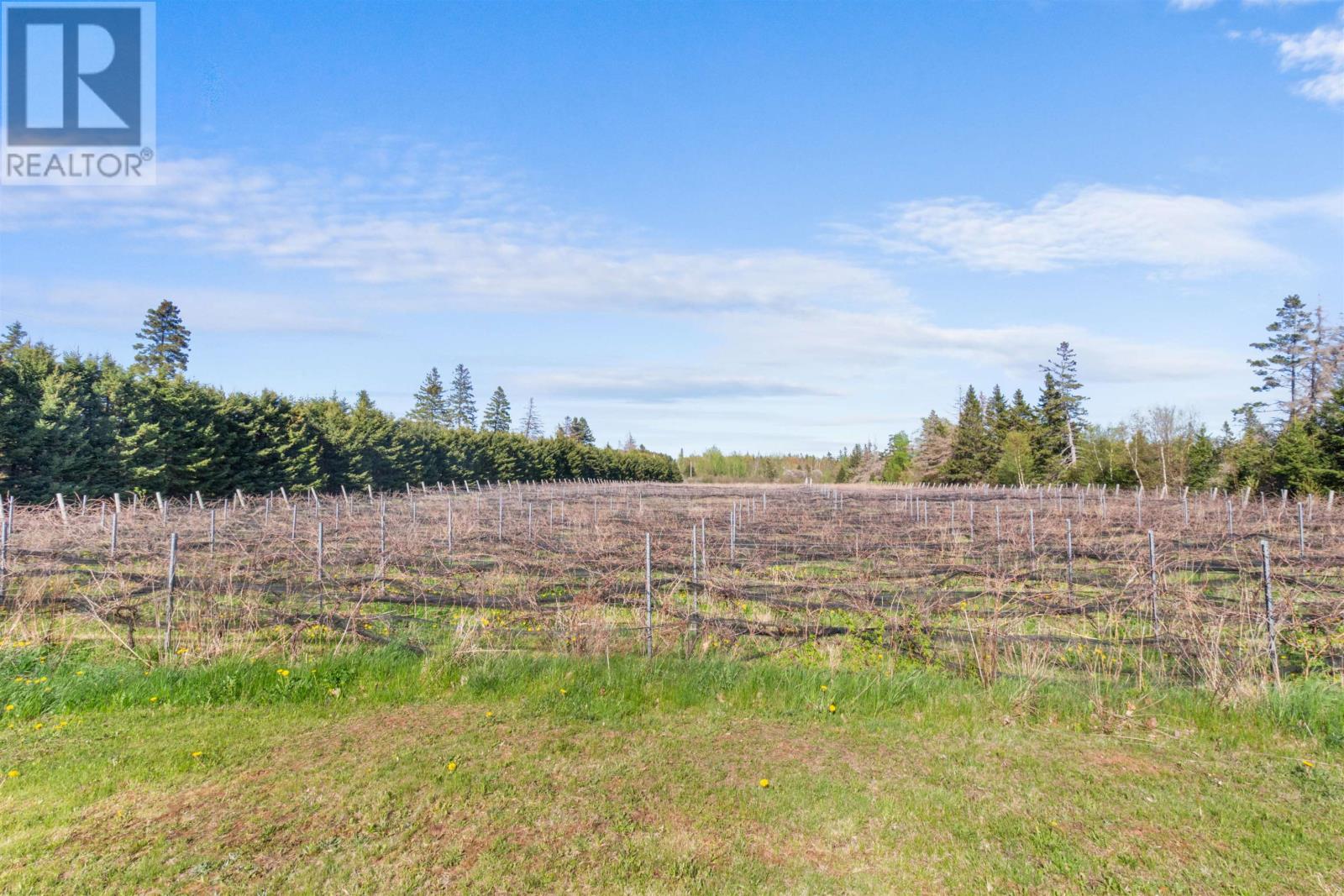 164 Panmure Island - 24