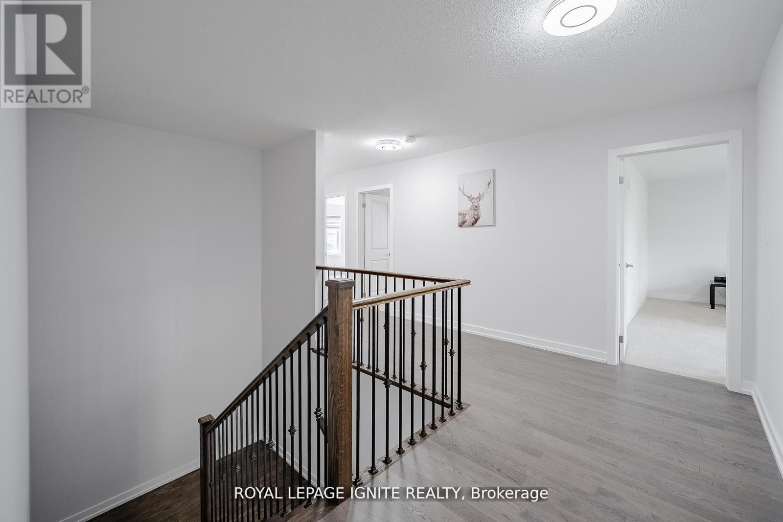 19 BUTTERNUT DRIVE - 24
