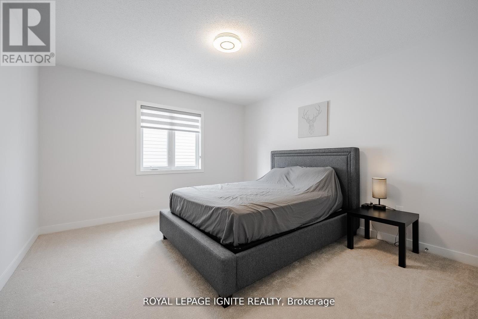 19 BUTTERNUT DRIVE - 34