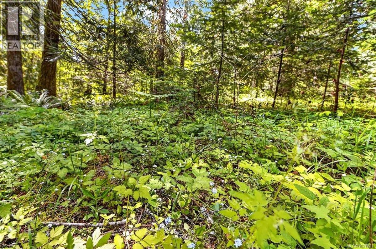 5996 Malabar Rd - 41