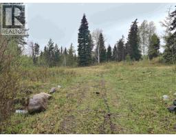 2954 Spout Lake Road, Lac La Hache, BC V0K1T0 Photo 9