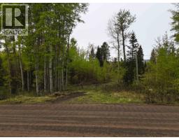 2954 Spout Lake Road, Lac La Hache, BC V0K1T0 Photo 8