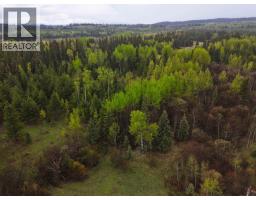 2954 Spout Lake Road, Lac La Hache, BC V0K1T0 Photo 14