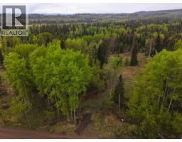 2954 Spout Lake Road, Lac La Hache, BC V0K1T0 Photo 15