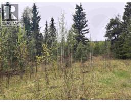 2954 Spout Lake Road, Lac La Hache, BC V0K1T0 Photo 13