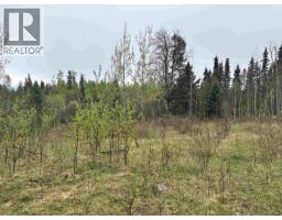 2954 Spout Lake Road, Lac La Hache, BC V0K1T0 Photo 12