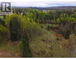 2954 Spout Lake Road, Lac La Hache, BC V0K1T0 Photo 11