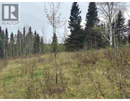 2954 Spout Lake Road, Lac La Hache, BC V0K1T0 Photo 10