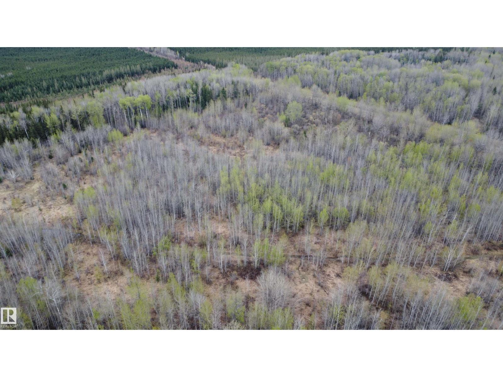 Hwy 2 RR 263 — photo 10