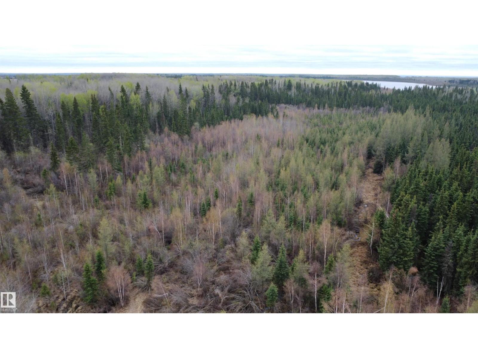 Hwy 2 RR 263 — photo 18