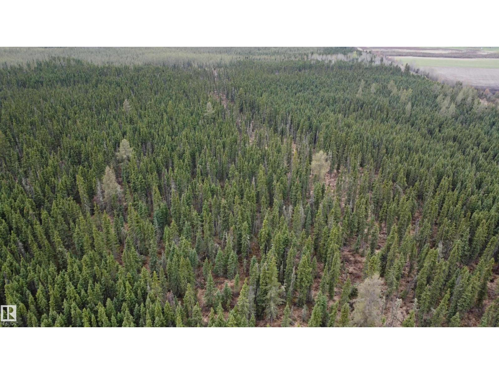 Hwy 2 RR 263 — photo 55