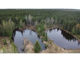 Hwy 2 Rr 263, Rural Lesser Slave River M D , AB T0G2B0 Photo 31