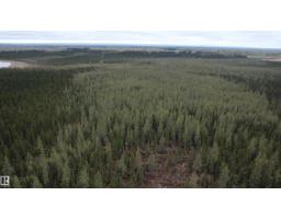 Hwy 2 Rr 263, Rural Lesser Slave River M D , AB T0G2B0 Photo 59