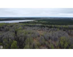 Hwy 2 Rr 263, Rural Lesser Slave River M D , AB T0G2B0 Photo 71