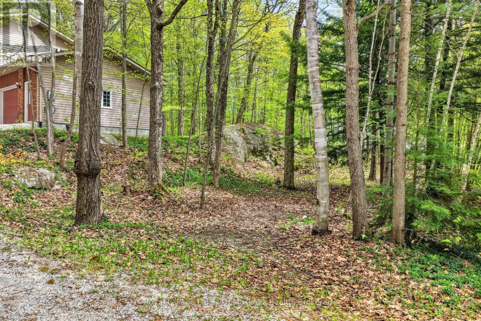 19 THE GRANITE BLUFF - 50