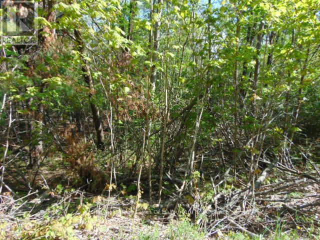 LOT 11 PLAN 580 NORTH DRIVE