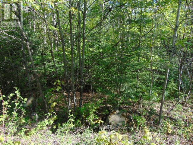 LOT 11 PLAN 580 NORTH DRIVE