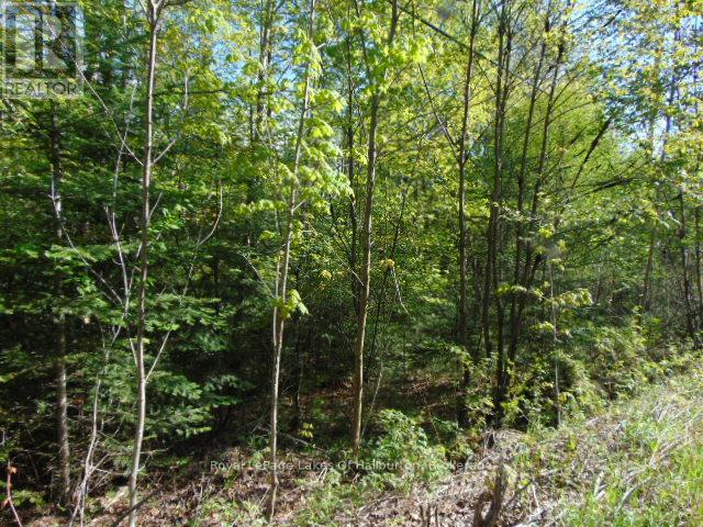 LOT 11 PLAN 580 NORTH DRIVE