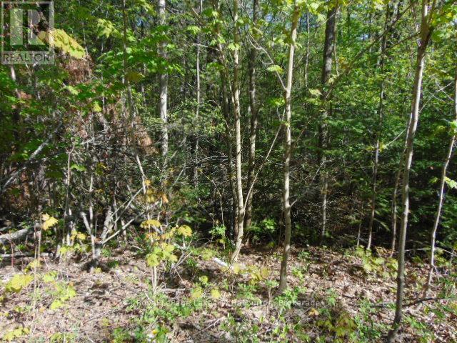 LOT 11 PLAN 580 NORTH DRIVE