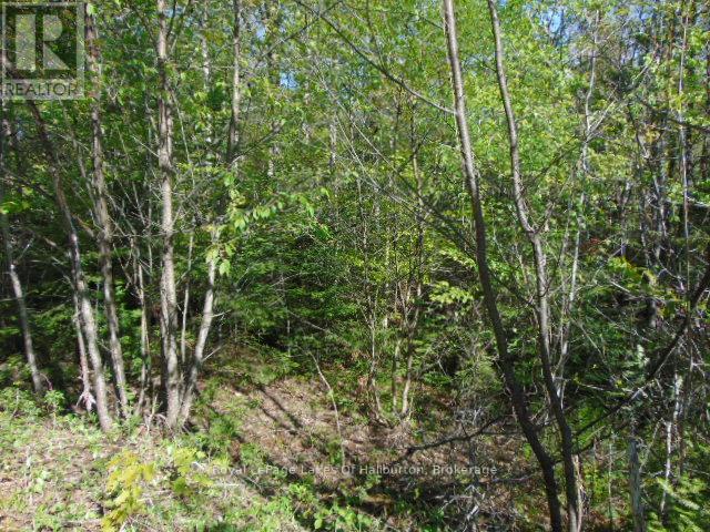 LOT 11 PLAN 580 NORTH DRIVE