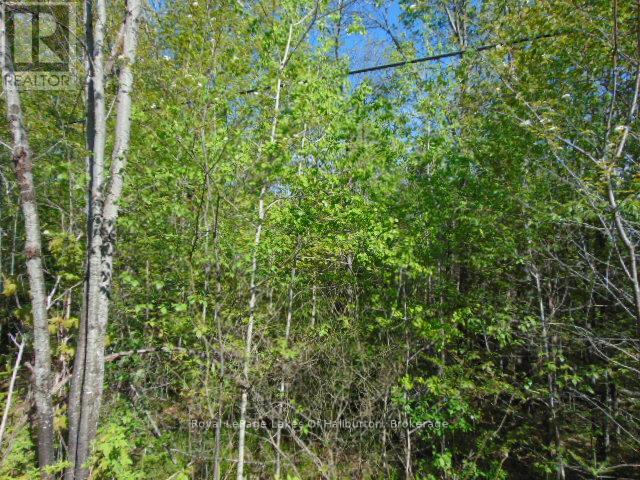 LOT 11 PLAN 580 NORTH DRIVE