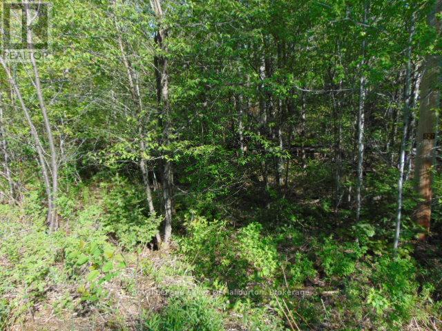 LOT 11 PLAN 580 NORTH DRIVE