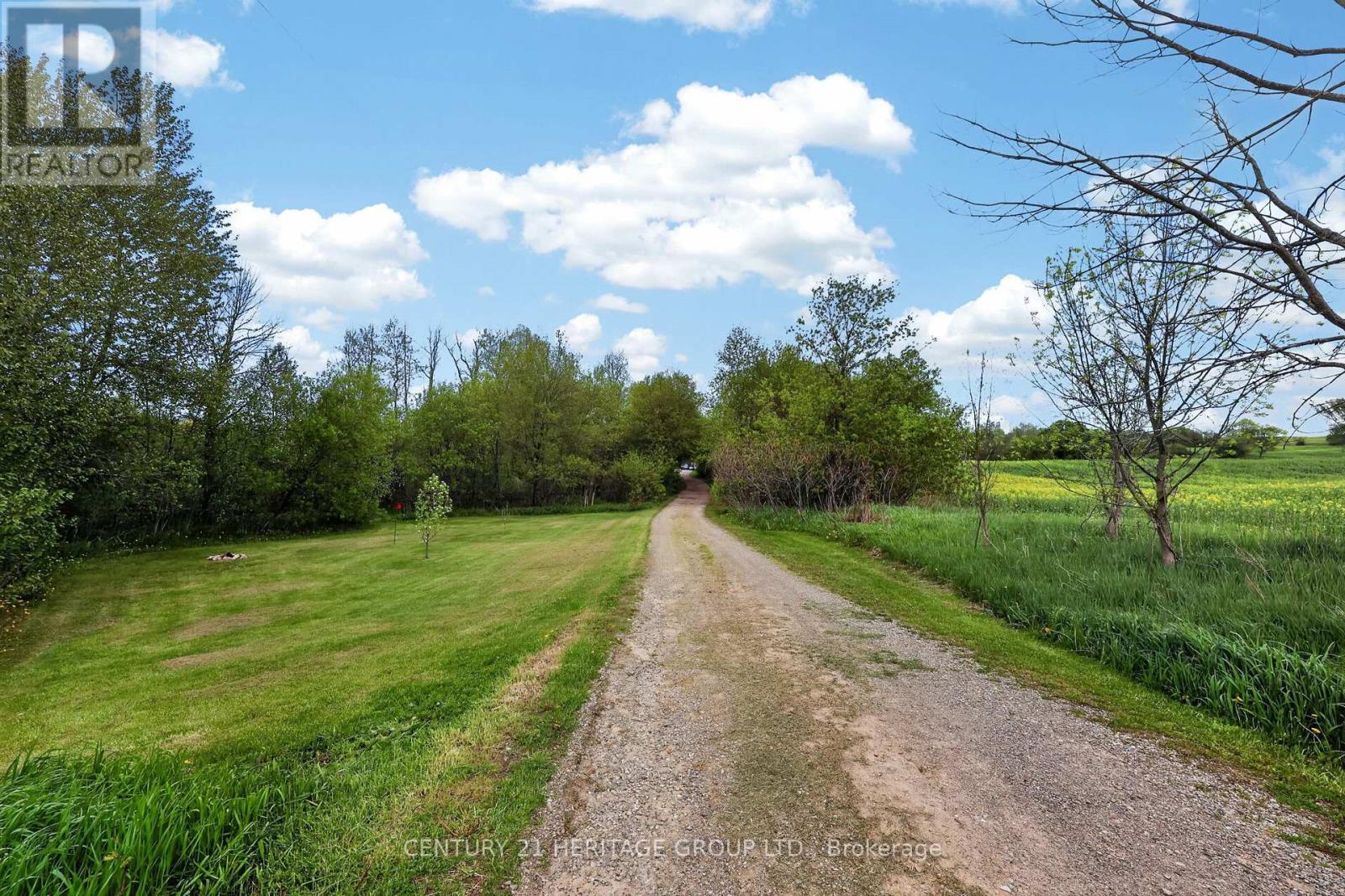 6675 SCOTCH LINE - Image 2