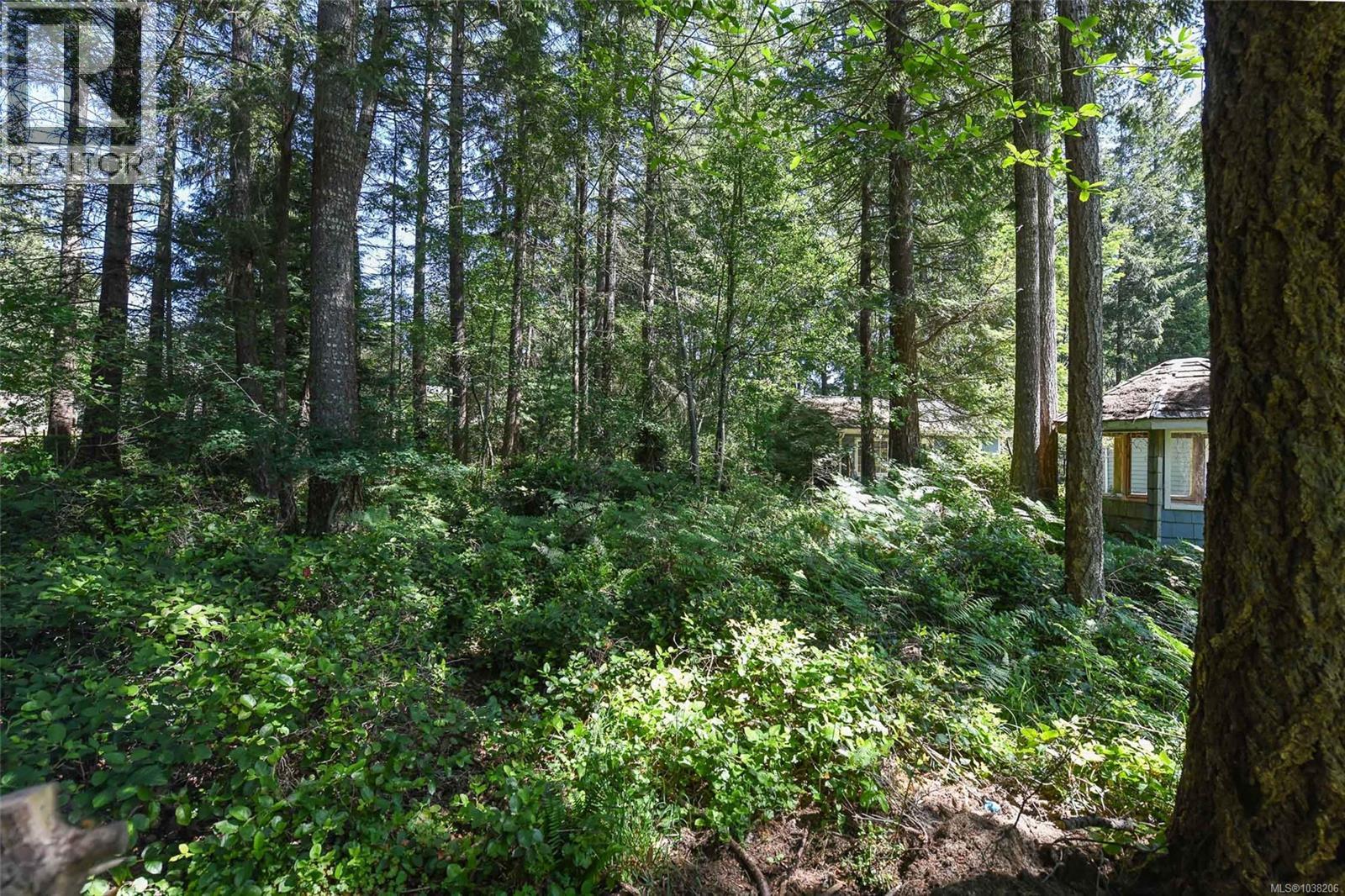 2410 Huband Rd - 12