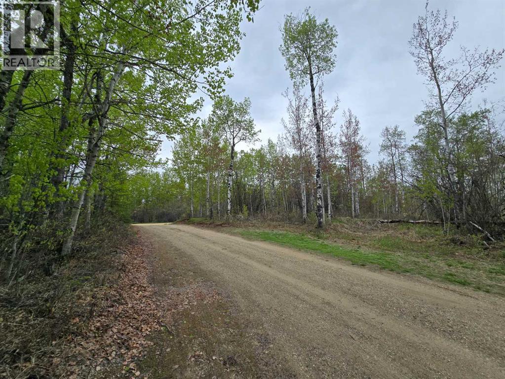 121, 842072 Range Road 241 — photo 9