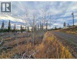 Lot 2 Shore Court, 100 Mile House, BC V0K2K2 Photo 10