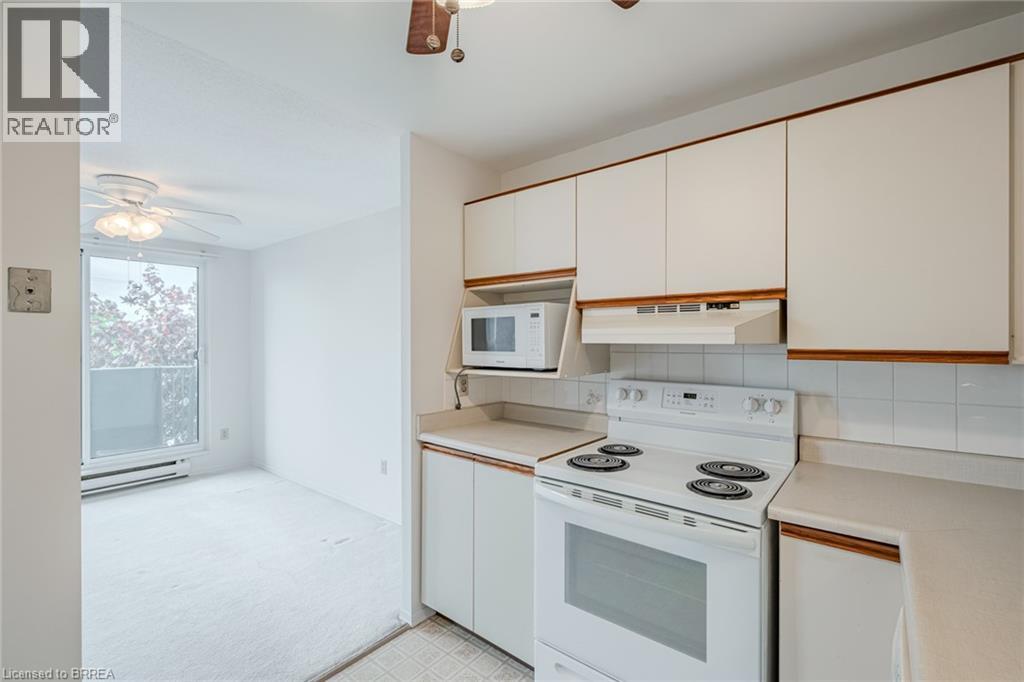 #301 421 FAIRVIEW Drive - 23