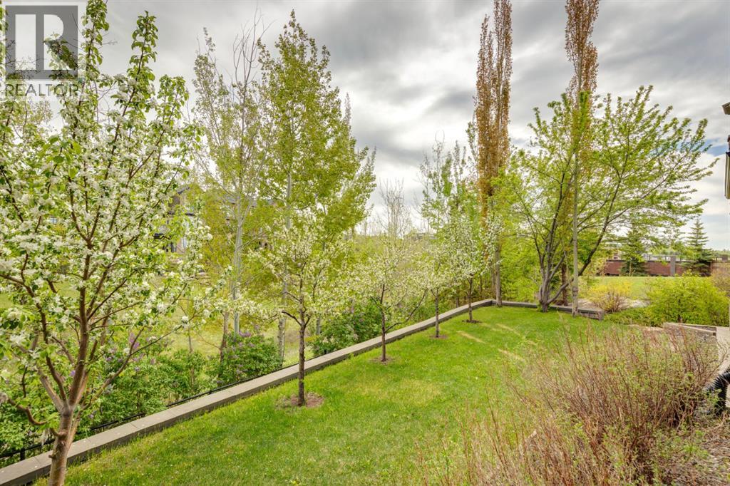 Rear yard