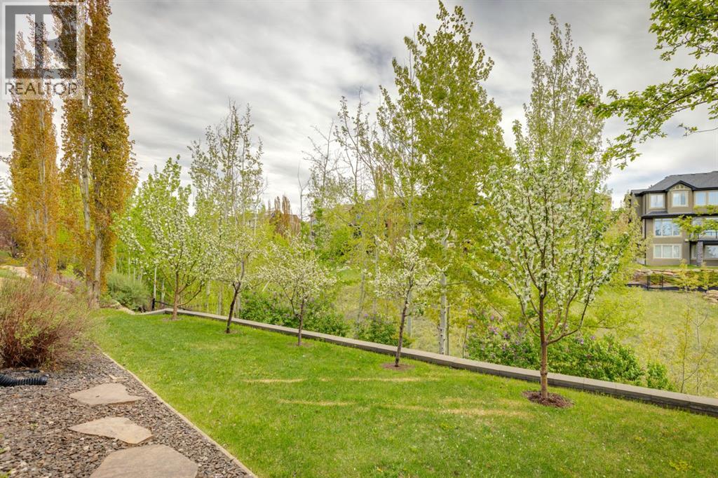 Rear yard