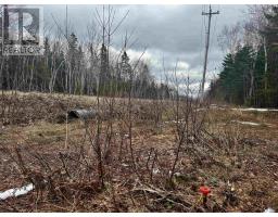Basin Rd., Whiteside, NS B0E1J0 Photo 10