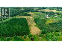 320 RED BANK Road, photo 4