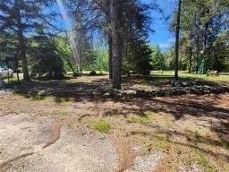 29 Clonakilty Bay, Belair, MB R0E0E0 Photo 11