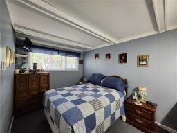 29 Clonakilty Bay, Belair, MB R0E0E0 Photo 24