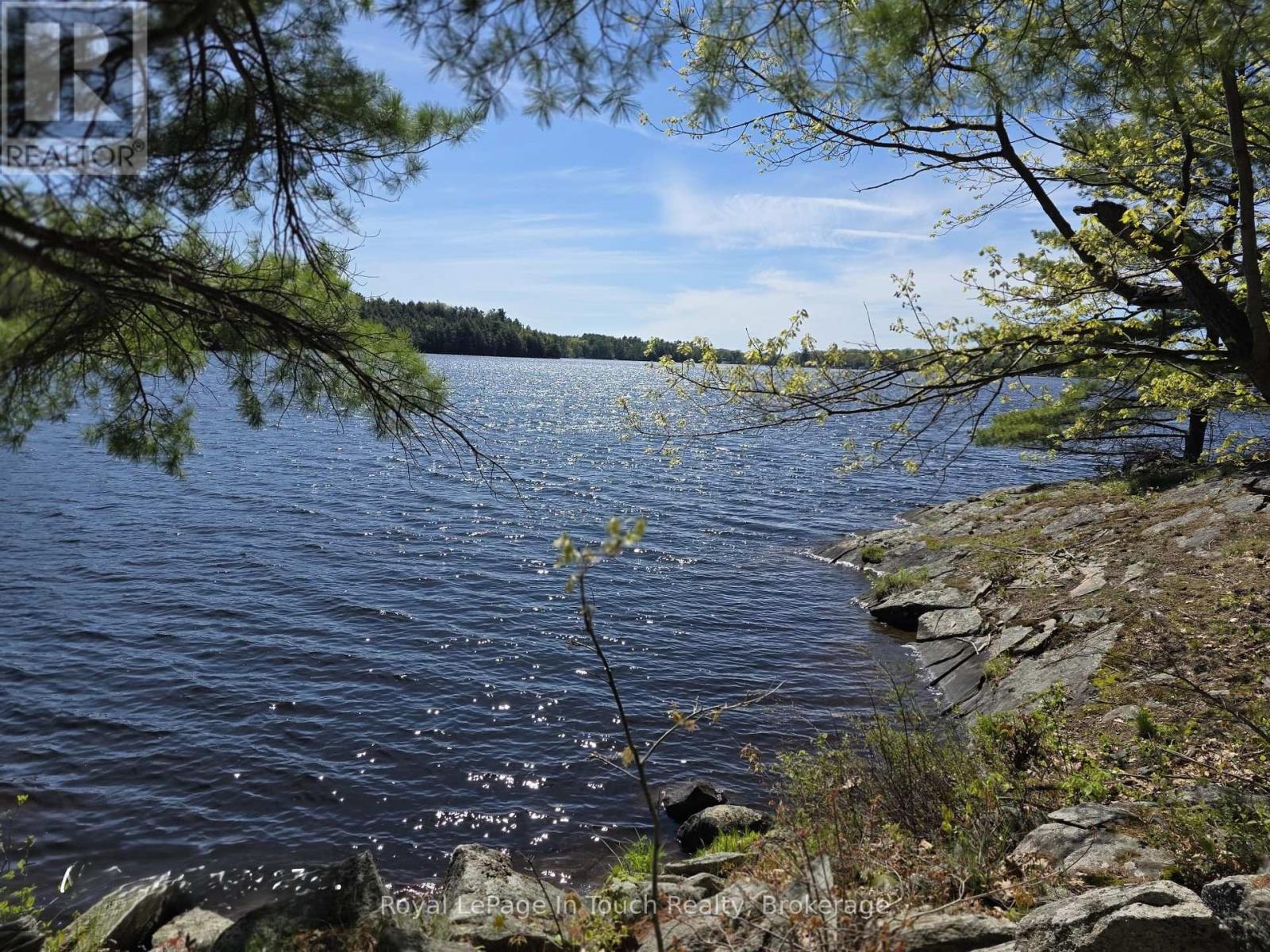 2910 MACLEAN LAKE NORTH SHORE ROAD - 5