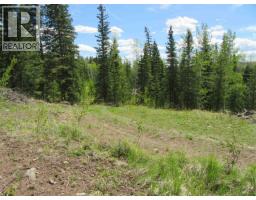 Lot 4 N Bonaparte Road, Bridge Lake, BC V0K1E0 Photo 27