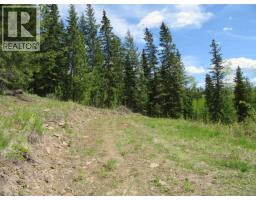 Lot 4 N Bonaparte Road, Bridge Lake, BC V0K1E0 Photo 24