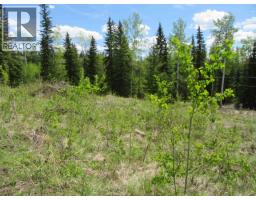 Lot 4 N Bonaparte Road, Bridge Lake, BC V0K1E0 Photo 28