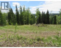 Lot 4 N Bonaparte Road, Bridge Lake, BC V0K1E0 Photo 26