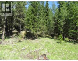 Lot 4 N Bonaparte Road, Bridge Lake, BC V0K1E0 Photo 20