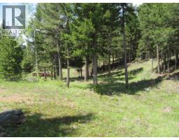 Lot 4 N Bonaparte Road, Bridge Lake, BC V0K1E0 Photo 21