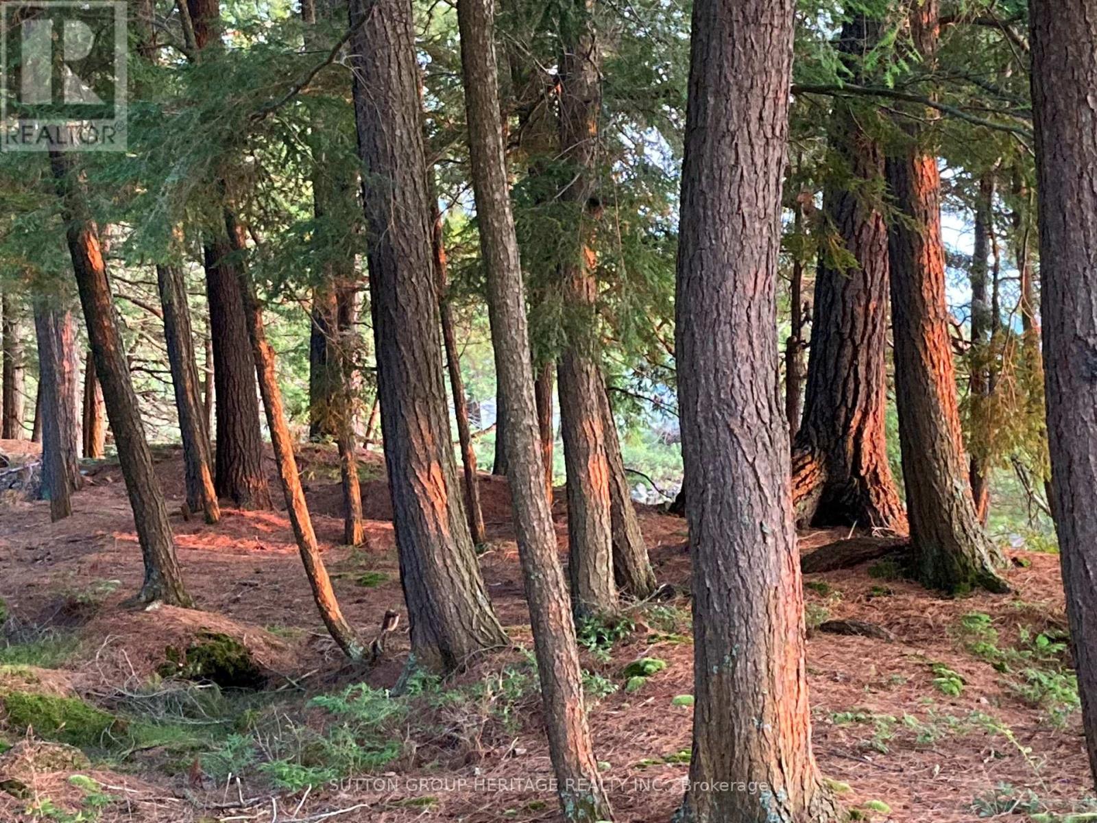 909 ASHBY LAKE WA - 20