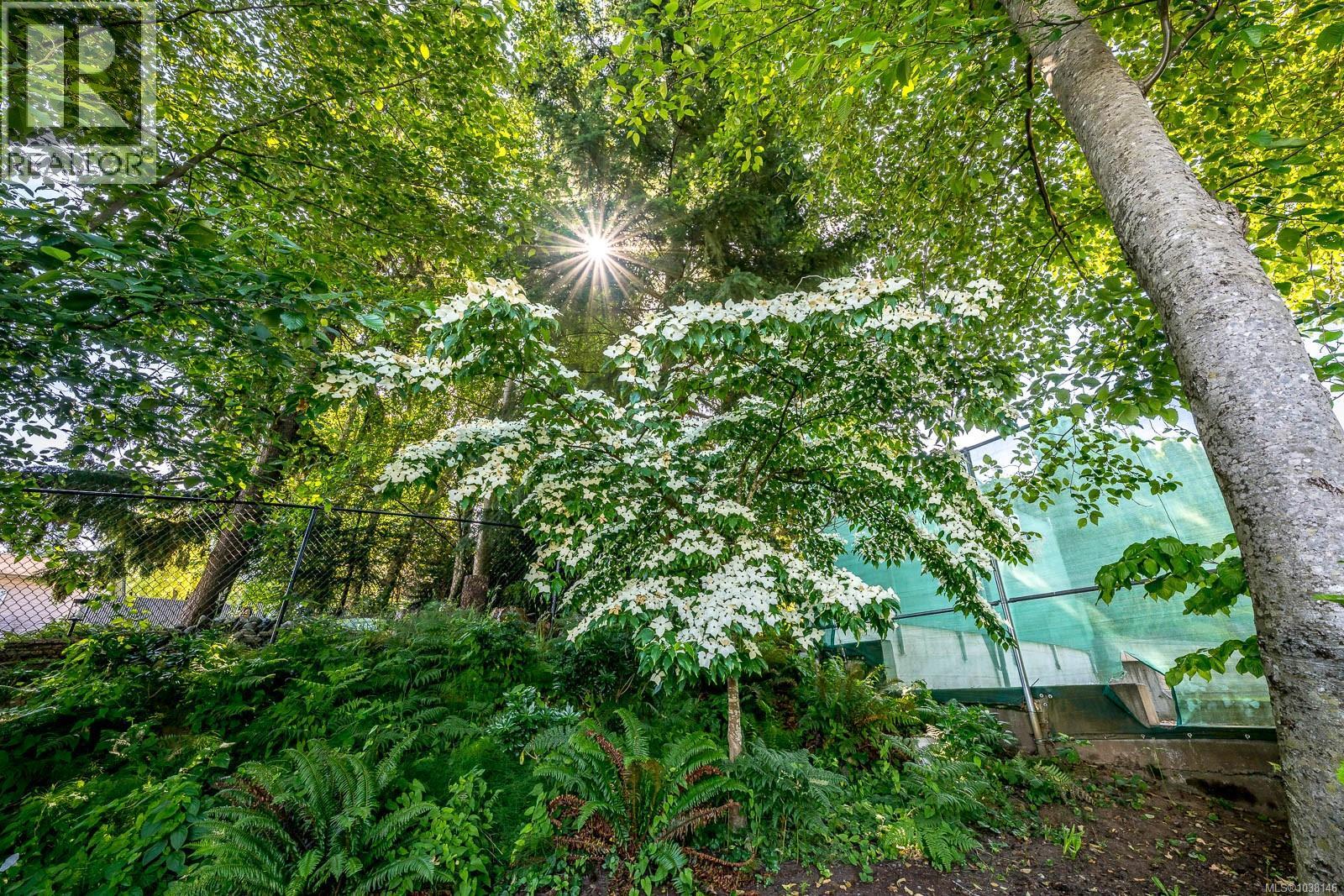 809 Willowcrest Rd - 55