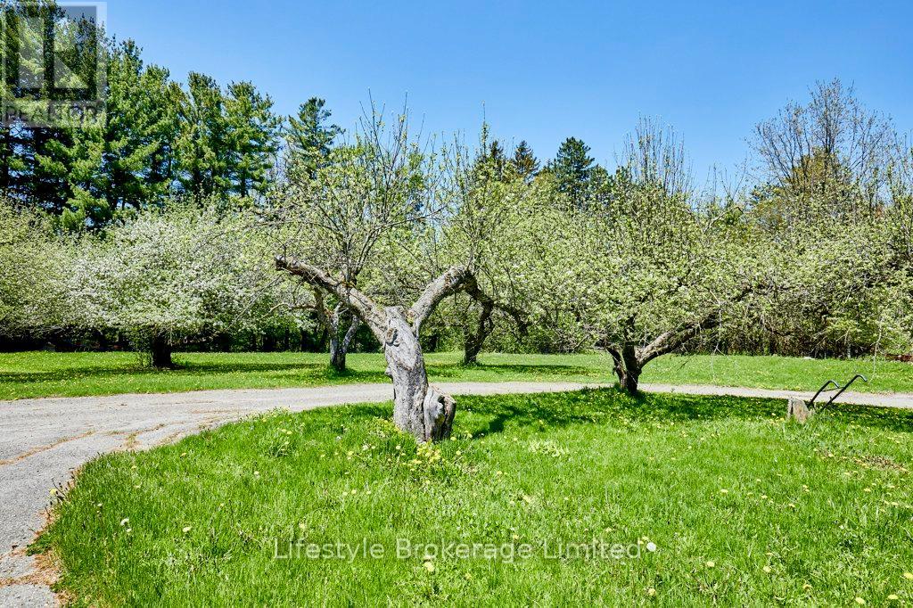 2660 CONCESSION 9 ROAD - 9