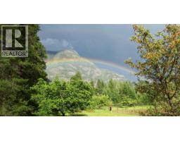 3918 Passmore Upper Road, Passmore, BC V0G2J0 Photo 87