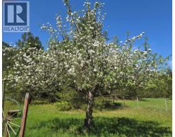 3918 Passmore Upper Road, Passmore, BC V0G2J0 Photo 86